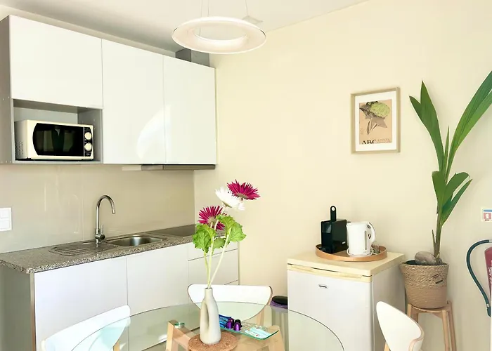 泰帕斯历史中心公寓 波尔图